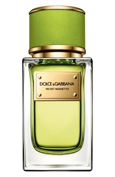 dolce gabbana new perfume 2020